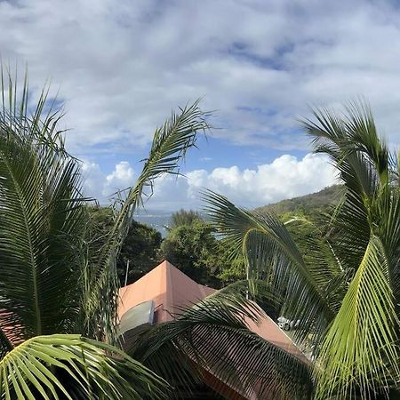 Le Ti Dauphin Plage Anse A L'Ane レ・トロワ・イレ エクステリア 写真
